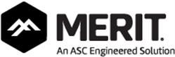 Merit®: Elevate Your Skills with Our Professional Development Solutions