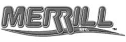 Merrill™ | High-Performance Valves, Pumps & Industrial Solutions