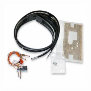 Lochinvar&reg; 100110984