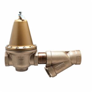 WATTS® 0298617