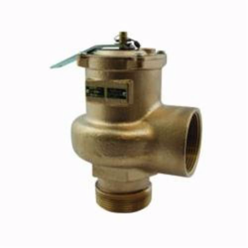 Apollo&trade; 1420608 Safety Relief Valve, 2-1/2 in