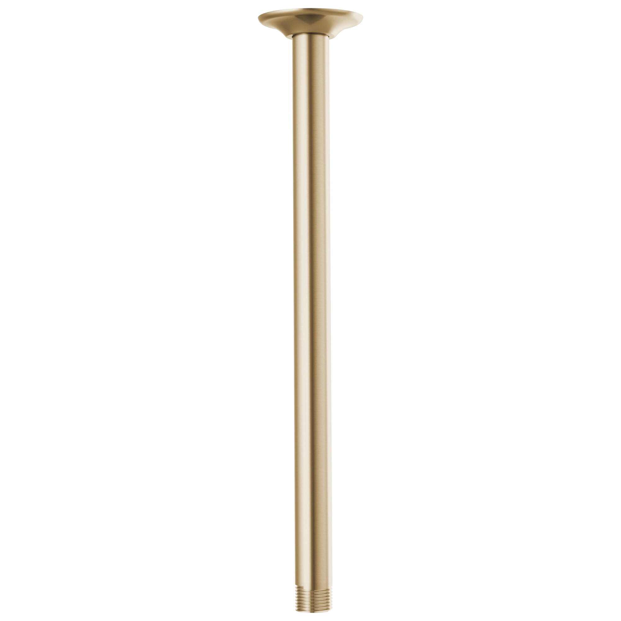 Brizo® RP100470GL