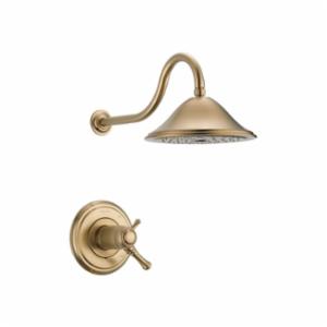 DELTA® T17T297-CZ