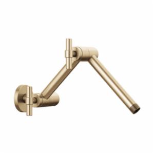 Brizo® RP81434GL