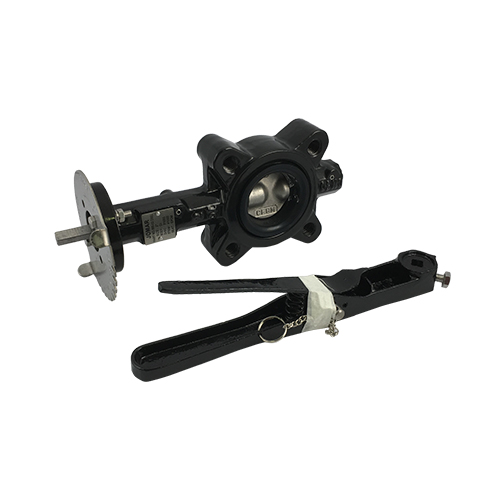 Jomar Valve® 600-02DSEL