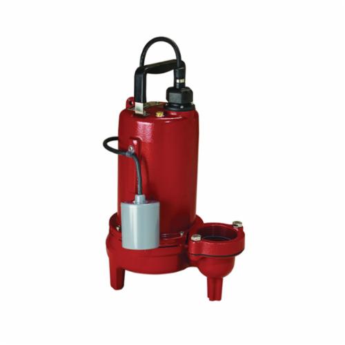 Liberty Pumps® LEH102A2-2 LEH100