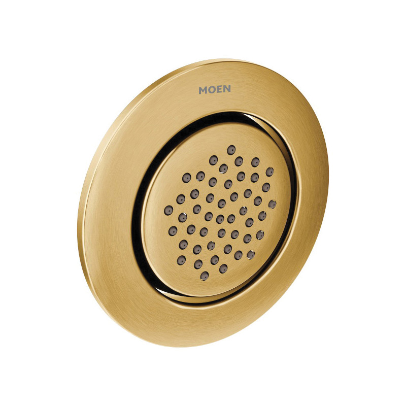 Moen&reg; TS1322BG