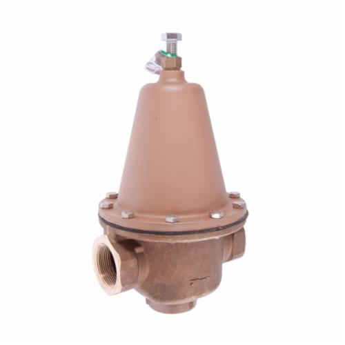 WATTS® 0298585