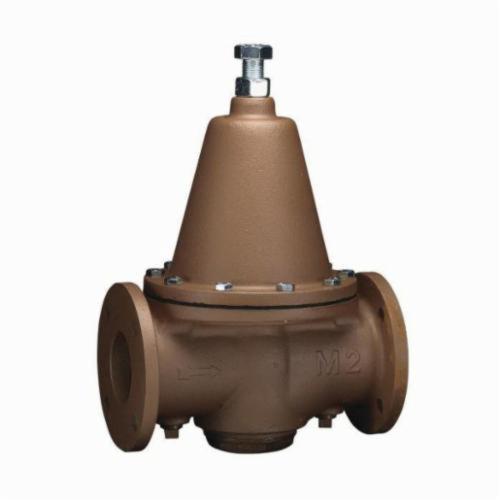 WATTS® 0298620