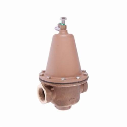 WATTS® 0298553